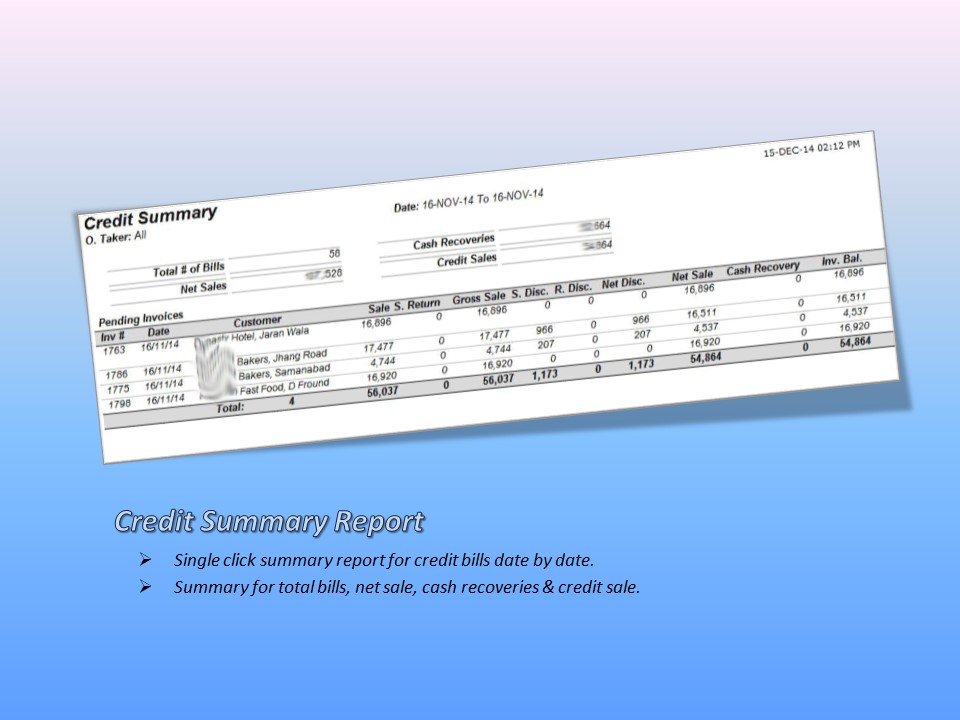 Credit Summary Report